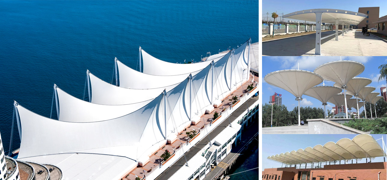 65250d344247f.jpg 1.jpg